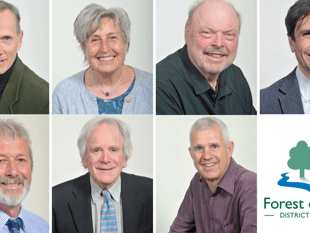Forest Council's new all-Green cabinet announced