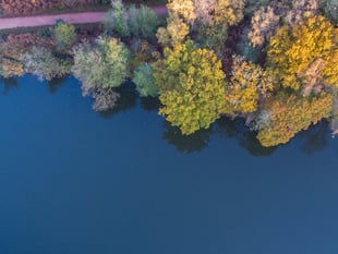 Forestry England to drill at Cannop to gather ‘critical’ evidence