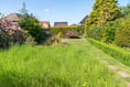 Locals encouraged to revamp their gardens to help the birds and bees