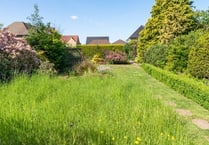 Locals encouraged to revamp their gardens to help the birds and bees