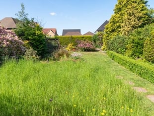 Locals encouraged to revamp their gardens to help the birds and bees