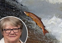 Environment secretary's 'carrot and stick' call to save the Wye