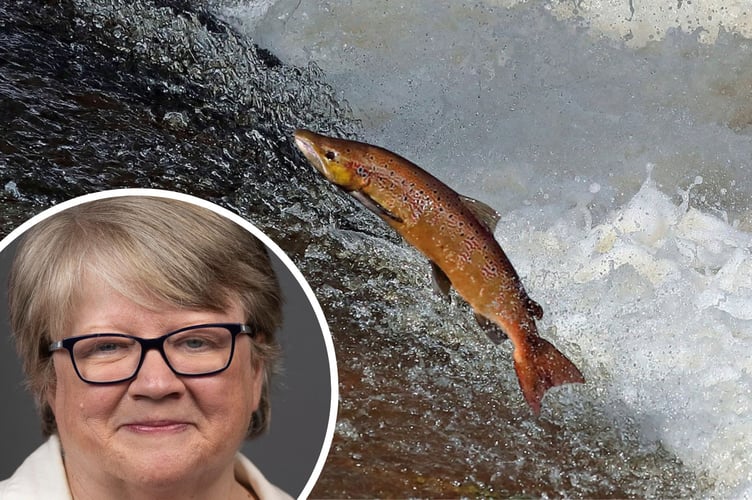 Environment secretary Therese Coffey told a roundtable meeting 'we need to potentially be more radical' to save the Wye