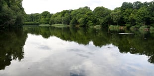 Delayed Cannop drilling to investigate condition of dams to begin