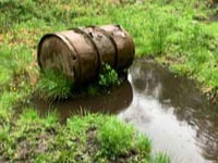 'Forestry must fence off contaminated Cannop bog'