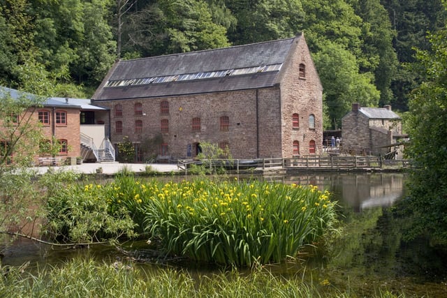 ‘Home-grown’ arts festival to celebrate shared cultural heritage