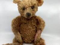 Ready, teddy, go... for £3,800!