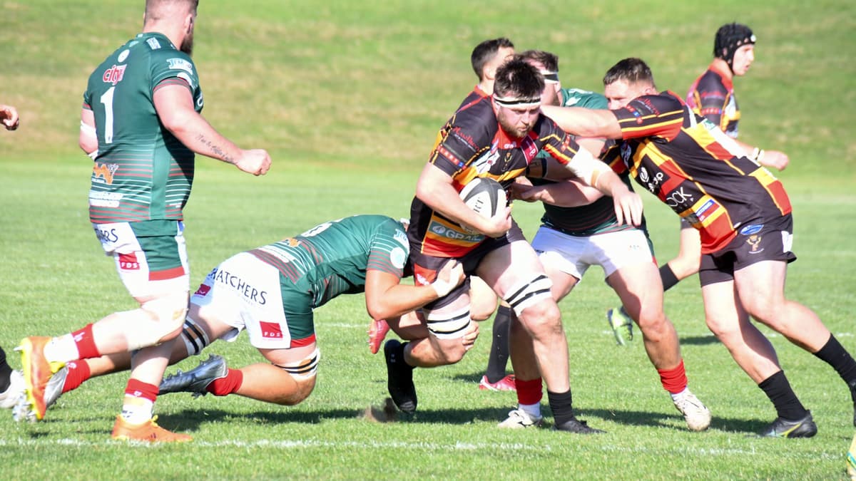 Cinderford Rfc New faces at Cinderford RFC for new season | theforester.co.uk