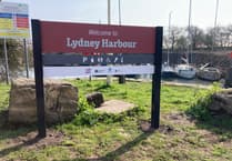 Forest View with Dave Kent