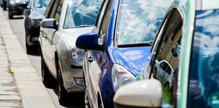 A Forest View with Dave Kent