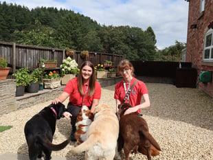 Tenth RSPCA gold for Forest Council wardens