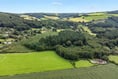 100-acre slice of woodland for sale - costing nearly a million pounds