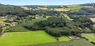 100-acre slice of woodland for sale - costing nearly a million pounds