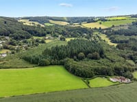 100-acre slice of woodland for sale - costing nearly a million pounds