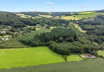100-acre slice of woodland for sale - costing nearly a million pounds