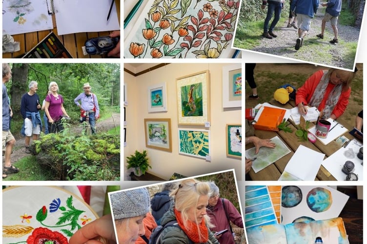 Canopy's creative walks