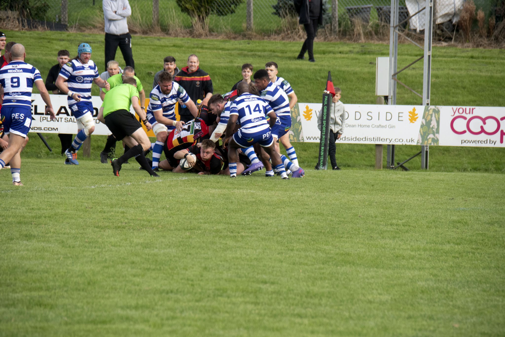 Cinderford made to work for home win over Sale