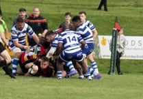 Cinderford made to work for home win over Sale