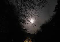 West Dean Parish Council to trial street lights switch off to benefit wildlife