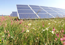 Laynes Wood Solar Farm – more than just panels