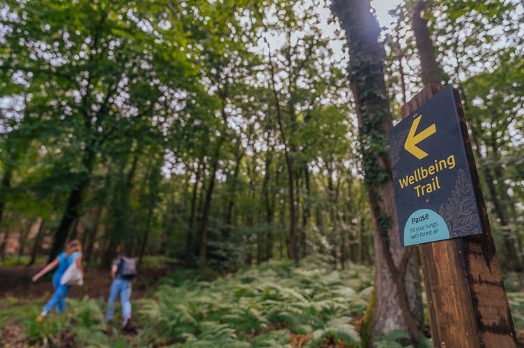 Woodland wellbeing