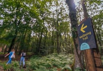 New 'Woodland Wellbeing' trail created at Symonds Yat by Forestry England