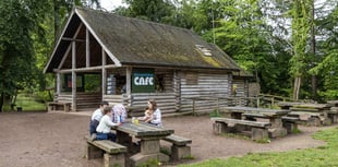 Forestry England advertises business opportunities at tourist hotspots