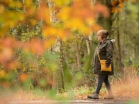 Explore the sites and sounds of the Forest with RSPB walk from just £1