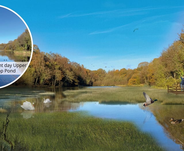 Re-naturalising of Cannop Brook no longer an option - Forestry England