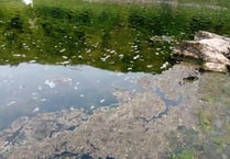 Judicial review into River Wye pollution