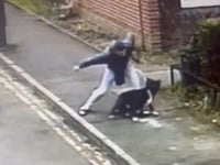 Newent man filmed beating his dog is banned from keeping animals
