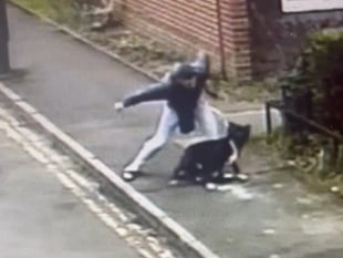 Newent man filmed beating his dog is banned from keeping animals