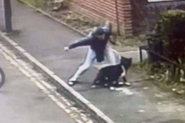 Birt was caught on CCTV beating his dog Hugo