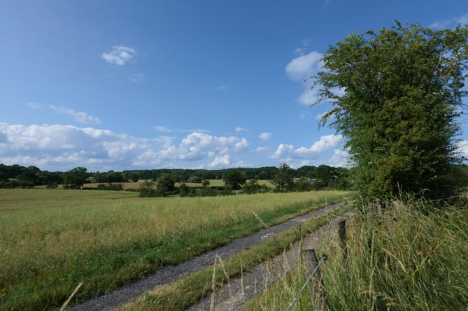 The land in Upleadon near Newent where developers want to create a new solar farm
