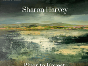 'River to Forest' exhibition explores natural beauty of Severn Estuary