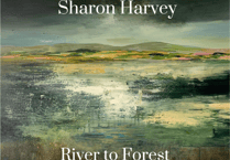 'River to Forest' exhibition explores natural beauty of the Severn Estuary