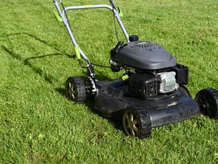 Forest of Dean District Council committed to No Mow May 