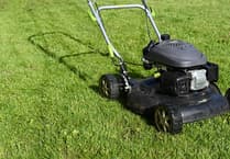 Forest of Dean District Council committed to No Mow May