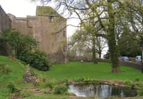 Forest View with Dave Kent