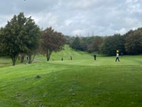 Forest Hills Golf shows winter resilience