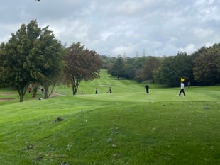 Forest Hills Golf shows winter resilience