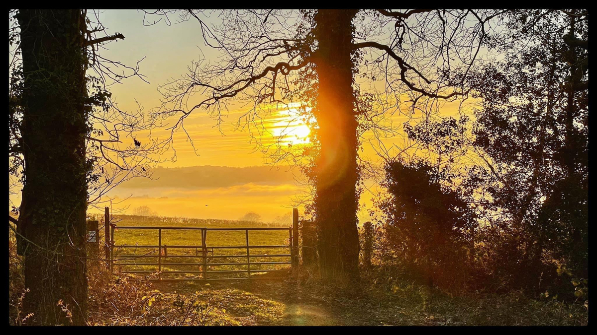 Coleford walking trail