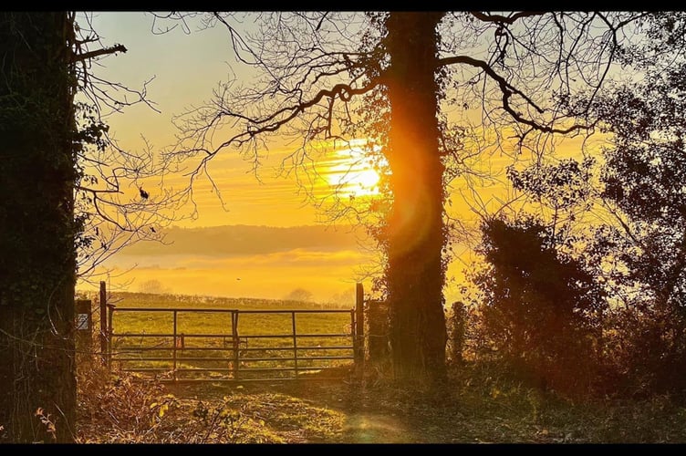 Coleford walking trail