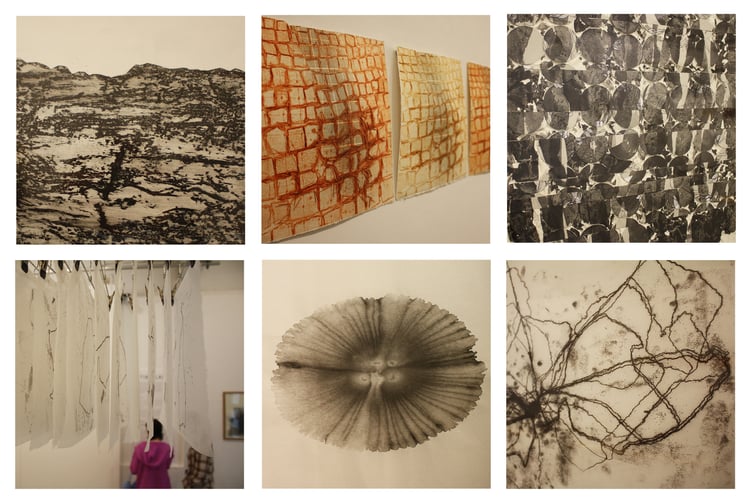 A collage of works from the Timelapse exhibition