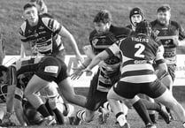 Cinderford drop to 11th in National One after defeat to Sedgley 