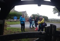 Canopy celebrates success of Creative Walks in Nature with exhibition