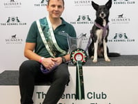 Mark and Skadi beat the best to win prestigious dog agility contest