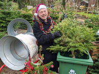 Forest Council continues tree recycling tradition for households