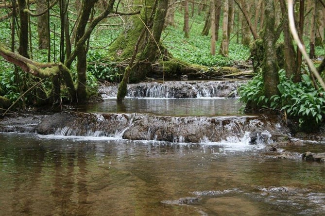 Newland Parish Council is considering small hydroelectric schemes to generate power from two streams which flow to the Wye