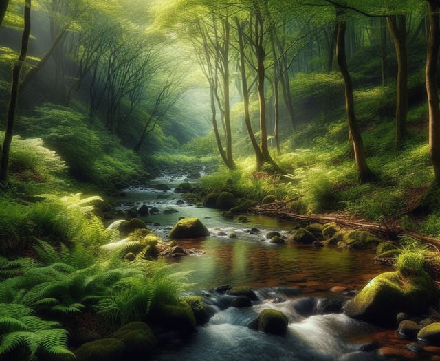 'Councils should stick to services and avoid speculative ventures'